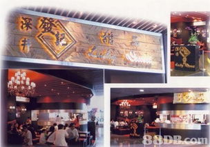 自助網(wǎng)頁設(shè)計咨詢 從零開始構(gòu)建你的在線品牌