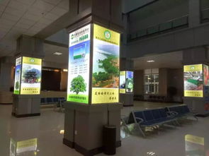 青海西寧雄盛燈箱廠 以品質(zhì)與誠(chéng)信點(diǎn)亮旅游服務(wù)新篇章